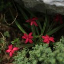 예크유치원 이미지