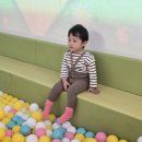 어린이 실내체육놀이터 | 경기 광주 아이랑 갈만한곳 어린이체육센터 너른놀이터 이용후기