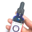 아미쿠스짐 이미지