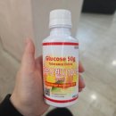 26-B | 임신26주 임당 재검 후기(feat. 임산부 B형독감)