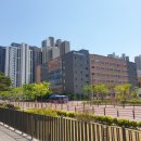 개포스타공인중개사사무소 | [매매] 구룡역 역세권 1획지_동일 평형 최저가! 디에이치 퍼스티어 아이파크 33평