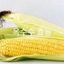 옥 수 이미지