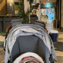 (주)휘슬러비씨 이미지