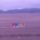 남미농장 이미지