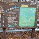 231224_봉두산(동리산_곡성)_2종주 이미지