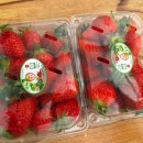 (주)에이앤팜 | [아이와갈만한곳] 팜앤딸기체험 내돈내산