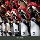 싸리고시원