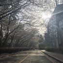 청사포공원 해월정 이미지