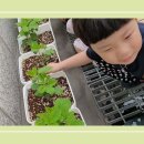 유림-1060 이미지