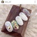 네일플럼(nail plum)