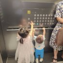 롯데평촌톰보이 | 34개월 12개월 일상 육아일기