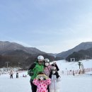 무주 스키장 6세 9세 주중 스키강습 내돈내산 후기