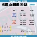 프로발리볼센터 이미지
