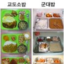 밥 한겨레