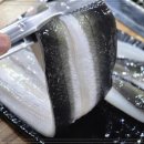 금빛장어 이미지