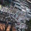 정각사입구 이미지