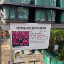 프리마베리
