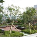 대전성모여자고등학교 이미지