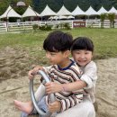 채원목장 이미지