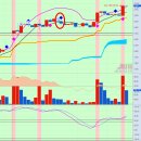 제이엘케이 | 24.09.30 매매일지(뱅크웨어글/제이엘케이)