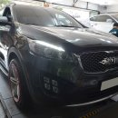 퍼플타이어 이미지