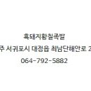 황칠족발