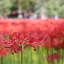 영광목장 이미지