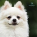 24시 고덕동물의료센터 이미지