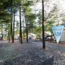 켄싱턴 호텔 평창 글램핑 빌리지 이미지