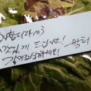 쉼터족발보쌈 이미지