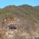 방음리경로당 Daum카페