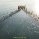 마을회관 정자옆 이미지