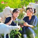 진흥목장 이미지