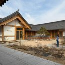 중화한의원 | [다낭성 난임 일기] 대추밭백한의원 후기 + 경주여행