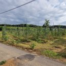 하이그린 농장 이미지