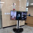 양영중학교 이미지