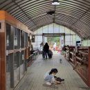 호호 닭 농장 이미지