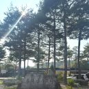 여주 가볼만한 곳 &#34;황학산 수목원&#34; 아기랑 가기 좋은 곳