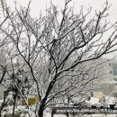 브레노스매쓰몽학원