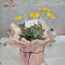 [일광꽃집, 식물공방] 축하를 전하는 화분식물
