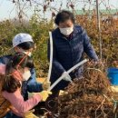 사계절농장 이미지