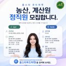 올스타푸드마켓