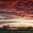 연제고등학교 이미지