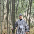 오리면 돼지 이미지