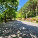 별드림캠핑장 이미지