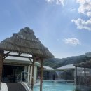 우성용봉 이미지