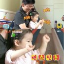 보다홀릭