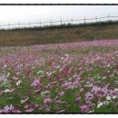 다산 행정사 사무소 이미지