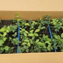 용토목장 이미지