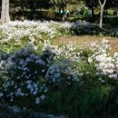 앵강 약초 공원 이미지